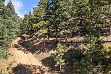 13126 Andiron Way, Larkspur, CO 80118 - photo 7
