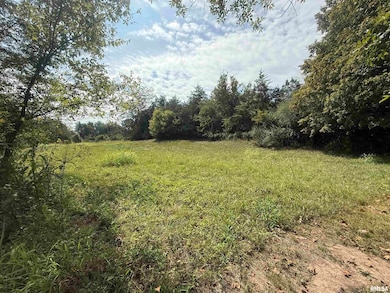 00 Wood Rd, Murphysboro, IL 62966 - photo 7