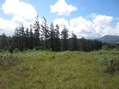 Lot and view