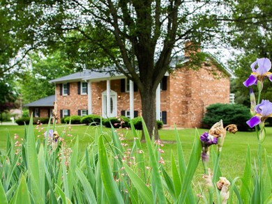 1135 Sharpes Dr, Harrisonburg, VA 22801 - photo 3