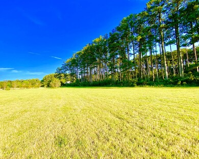 5 Bailey Beach Dr unit 5, Onancock, VA 23417 - photo 5