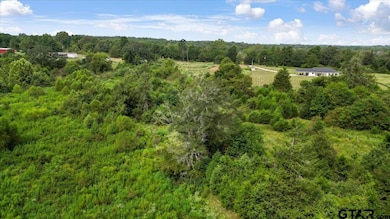 TBD S Mimosa Rd, Gilmer, TX 75644 - photo 6