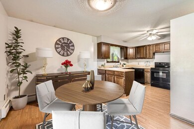 5931 Henry St, Maple Plain, MN 55359 - photo 3