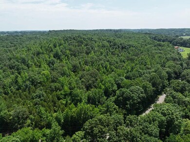 0 Batson Rd, Cumberland Furnace, TN 37051 - photo 2