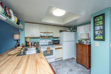 Dove kitchen2