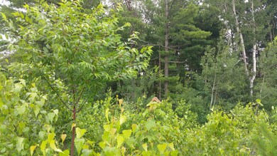 Lot 34 Sanko Dr, Olyphant, PA 18447 - photo 5