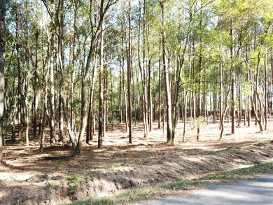 001 Cactus Dr, Laurel, MS 39443 - photo 2