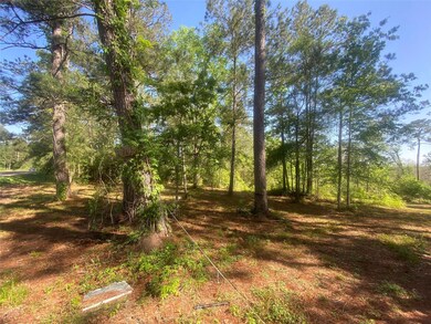 10705 Fm 1409 East Side, Dayton, TX 77535 - photo 4