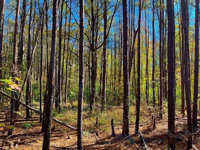 1000 Old Sylvarena Rd, Wesson, MS 39191 - photo 3