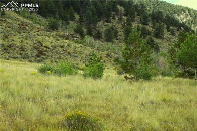 0 W Highway 24 Hwy unit 3329000, Lake George, CO 80827 - photo 2