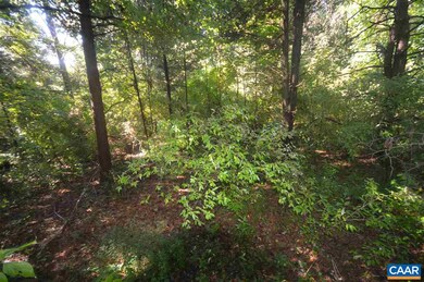 466 W Daffodil Rd, Monroe, VA 22968 - photo 7