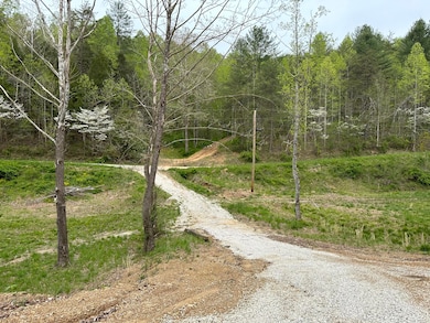 43 Deer Run Ln, Campton, KY 41301 - photo 3