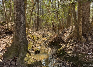 Flowing Stream