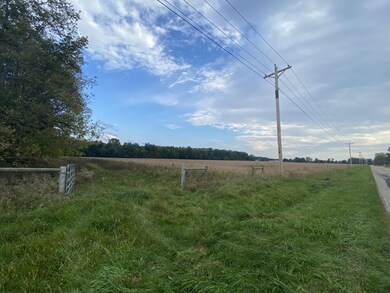 VL California Rd, Dowagiac, MI 49047 - photo 2