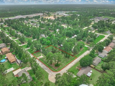 31611 Marlin St, Magnolia, TX 77355 - photo 2