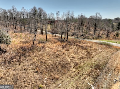 2 Arbor Creek Trail, Mineral Bluff, GA 30559 - photo 2