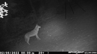 278 Private Road 5787a, Groesbeck, TX 76642 - photo 4