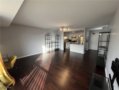 Living room featuring dark wood-type flooring and track lighting