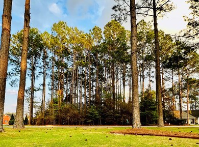 00 Berry Dr, Broxton, GA 31519 - photo 6