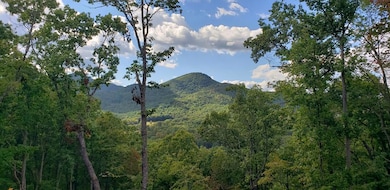 LT17 Mill Ridge Rd, Hiawassee, GA 30546 - photo 3