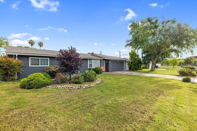 1-web-or-mls-713A8252