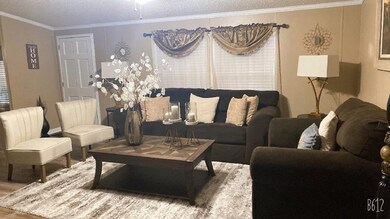 897 Attapulgus Climax Rd, Climax, GA 39834 - photo 5