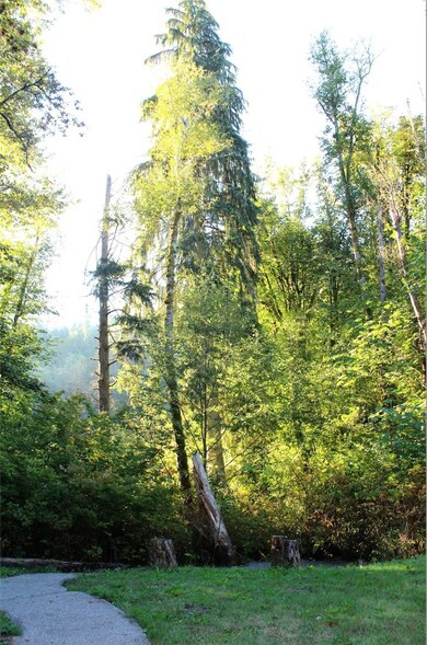 22610 177th St E, Orting, WA 98360 - photo 7