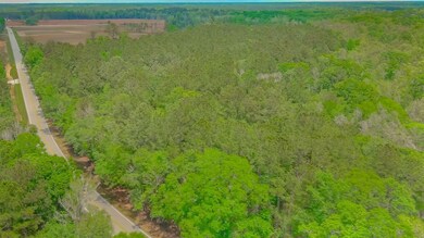 0 Pee Dee Hwy unit 25650621, Conway, SC 29527 - photo 6