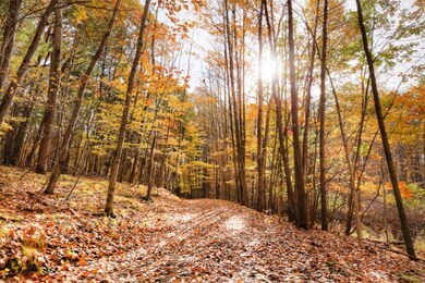 Trails 2