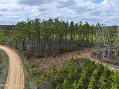 dji_fly_20240305_125432_0026_17096475967