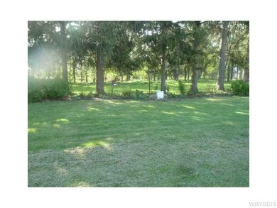 Yard.