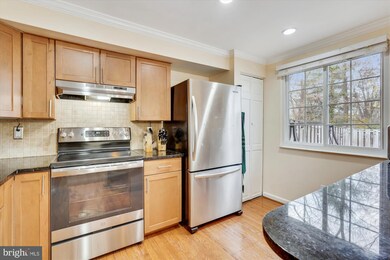 6828 Montivideo Square Ct, Falls Church, VA 22043 - photo 3