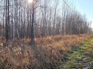 TBD Whistle Rd, Isle, MN 56342 - photo 5