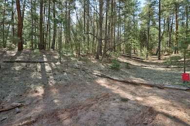 Lot B Lands of Hotch Fr 10, Jemez Springs, NM 87025 - photo 7