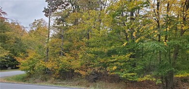 0 Waterfront Dr, Coolbaugh Township, PA 18466 - photo 3