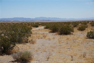 3000 Winfield Rd, Joshua Tree, CA 92252 - photo 7