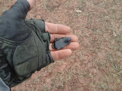 Lot 112 Juniperwood Ranch Unit 3, Ash Fork, AZ 86320 - photo 3