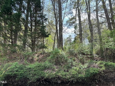 image0 (2)
