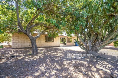 4414 E Covina St, Mesa, AZ 85205 - photo 5