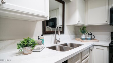 New Sink and Faucet