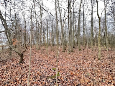 00 Rd, Kinsman, OH 44428 - photo 4