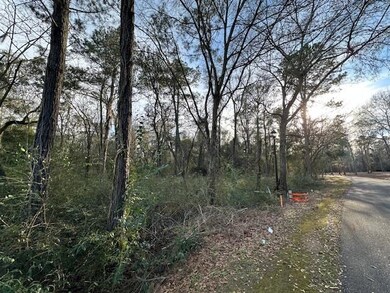 16 Riverwind Trail, Meigs, GA 31765 - photo 6