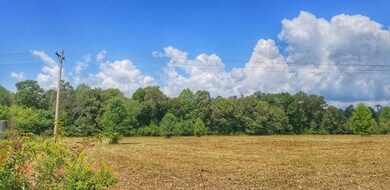 0 Fredonia Rd unit RTC1963611, Manchester, TN 37355 - photo 4