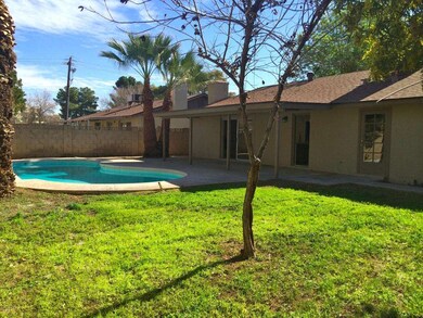 Yard and pool