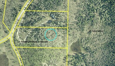 Aerial Lot 16