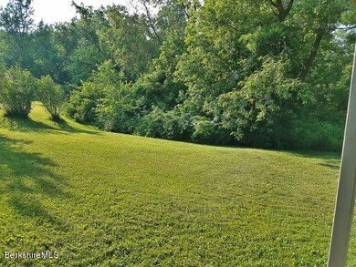 Yard View 2