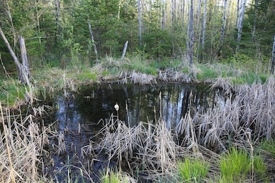 N2060 Meridian Rd, Prentice, WI 54556 - photo 4