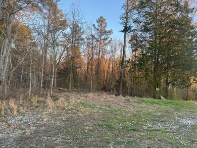 0 Clem Lowell Rd unit 147578, Carrollton, GA 30116 - photo 4