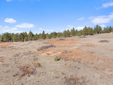 26867 Stage unit Road, Hot Springs, SD 57747 - photo 7