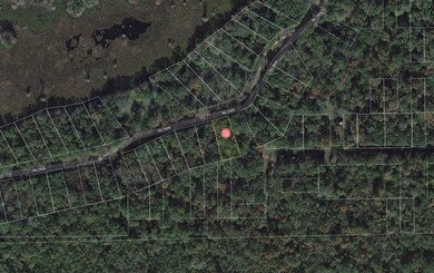 0 County Road 2909 unit Cleveland TX 77327, Cleveland, TX 77328 - photo 6